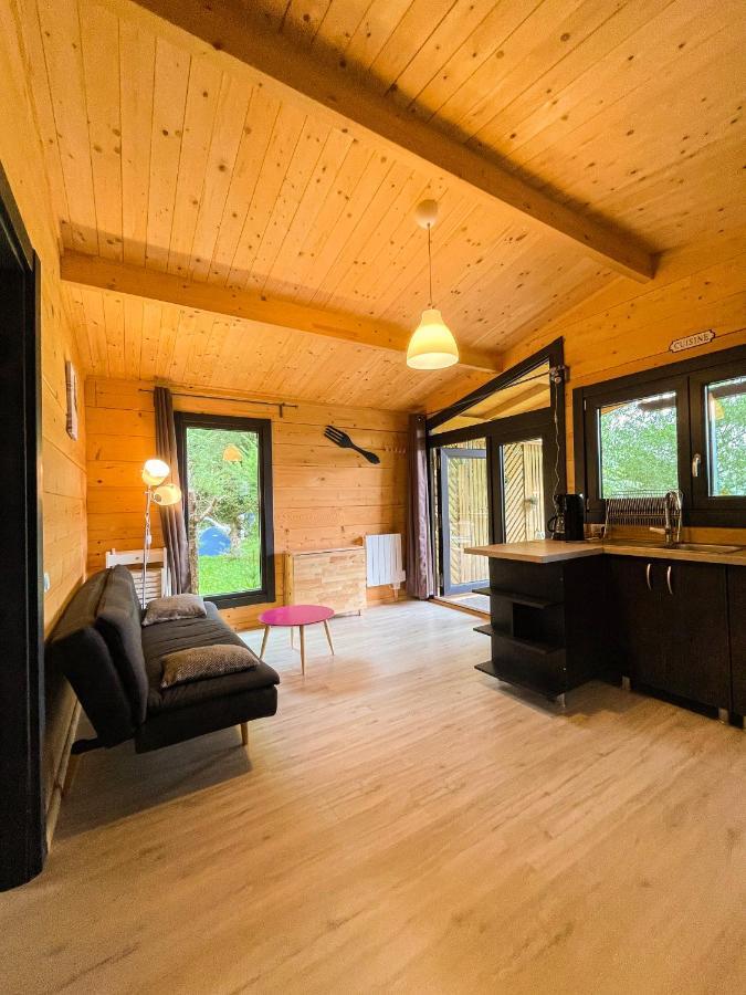 Chalet Nature Sur La Vallee De La Truyere Neuveglise Ngoại thất bức ảnh